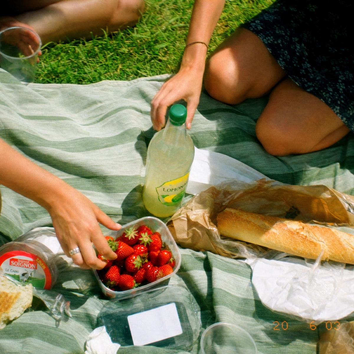 Sunday picnic